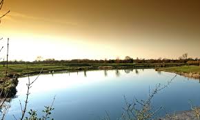 Image result for Thames Valley Angling