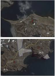 Attēlu rezultāti vaicājumam “Sanionia uncinata  sporophyte”