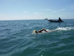 Image result for Isle Of Wight Swim Team