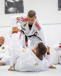 Image result for Hillsborough Judo Club