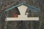 Ever Seen a Double Decker Hopper Bird Feeder? | Unique Birdhouse ...