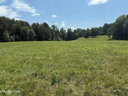 Image result for Padstow Sac