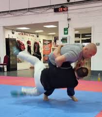 Image result for Universal Judo Academies