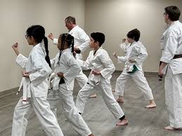 Image result for Bushin Kenpo Kai Schools