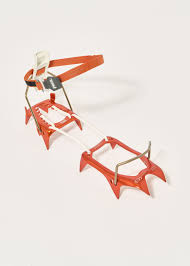 Image result for Rayleigh boys under 7's Leopards- need a Goalie!