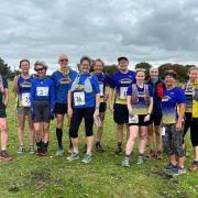 Image result for Pembrokeshire Harriers
