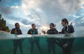 Image result for Duchy Divers