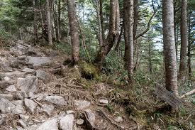 Attēlu rezultāti vaicājumam “Ena montana”