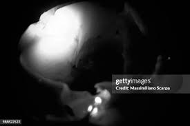 Attēlu rezultāti vaicājumam “Emberiza schoeniclus eggs”