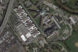 Image result for Cfcf