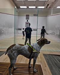 Image result for Jersey Squash Club