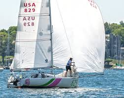 Image result for Pogo minitransat