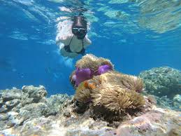 Image result for Underwater Adventures
