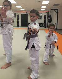 Image result for United Dojos Kickboxing