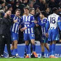 Image result for Upper Beeding Fc