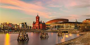 Image result for Cardiff Capitals