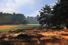 Image result for Elstead Badminton Club