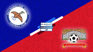 Image result for Ballinamallard United Football Club