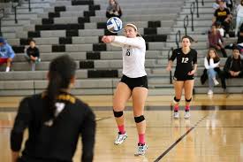 Image result for Crook and District Athletic Club