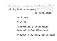 Attēlu rezultāti vaicājumam “Postia undosa”