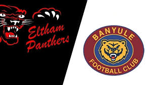 Image result for Eltham Panthers