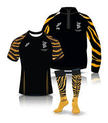 Image result for Luctonians Cricket Club