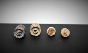 Image result for Burntisland Bullets