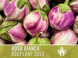 Afbeeldingsresultaat voor rosa bianca eggplant