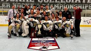 Image result for Team-Tigers Roller Hockey Club