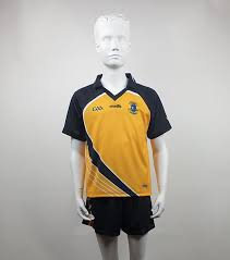 Image result for St Peter`s Gaa