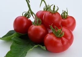 Afbeeldingsresultaat voor bloody butcher tomato