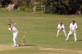 Image result for Abinger Cricket Club