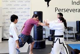 Image result for Hed Tkd (Dorking Tae Kwon-Do)