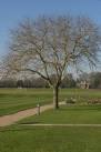 The chapel, whose construction prompted Francis Crick (discoverer of DNA and - via Daymix