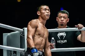Image result for Southgate T`ai Tsung Chinese Boxing