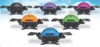 Image result for weber q200