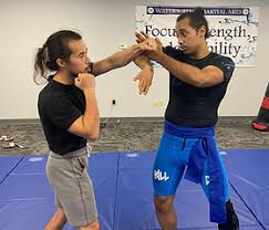 Image result for Somerset Jeet Kune Do