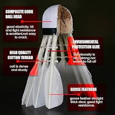 Image result for New Eagles Badminton Club