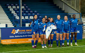 Image result for Haywards Heath Town Ladies Football Club