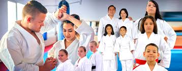 Image result for New Milton Taekwondo Club