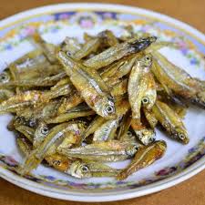 Attēlu rezultāti vaicājumam “Charales”