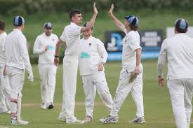 Image result for Plumtree Cricket Club