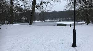 Image result for sonsbeek park