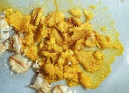 Attēlu rezultāti vaicājumam “Physarum penetrale spores”