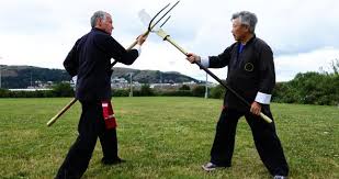 Image result for Salisbury Lau Gar Kung Fu Club