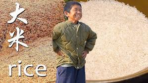 Image result for 春粒