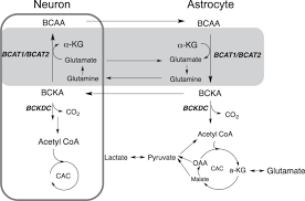 Image result for BCKA