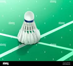 Image result for Greenmeadow Badminton Club