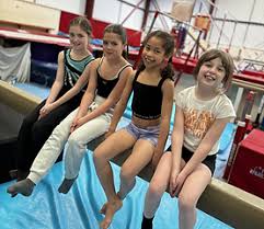 Image result for Hinckley Gymnastics Club