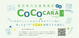 Image result for 衝動制御障害BPD